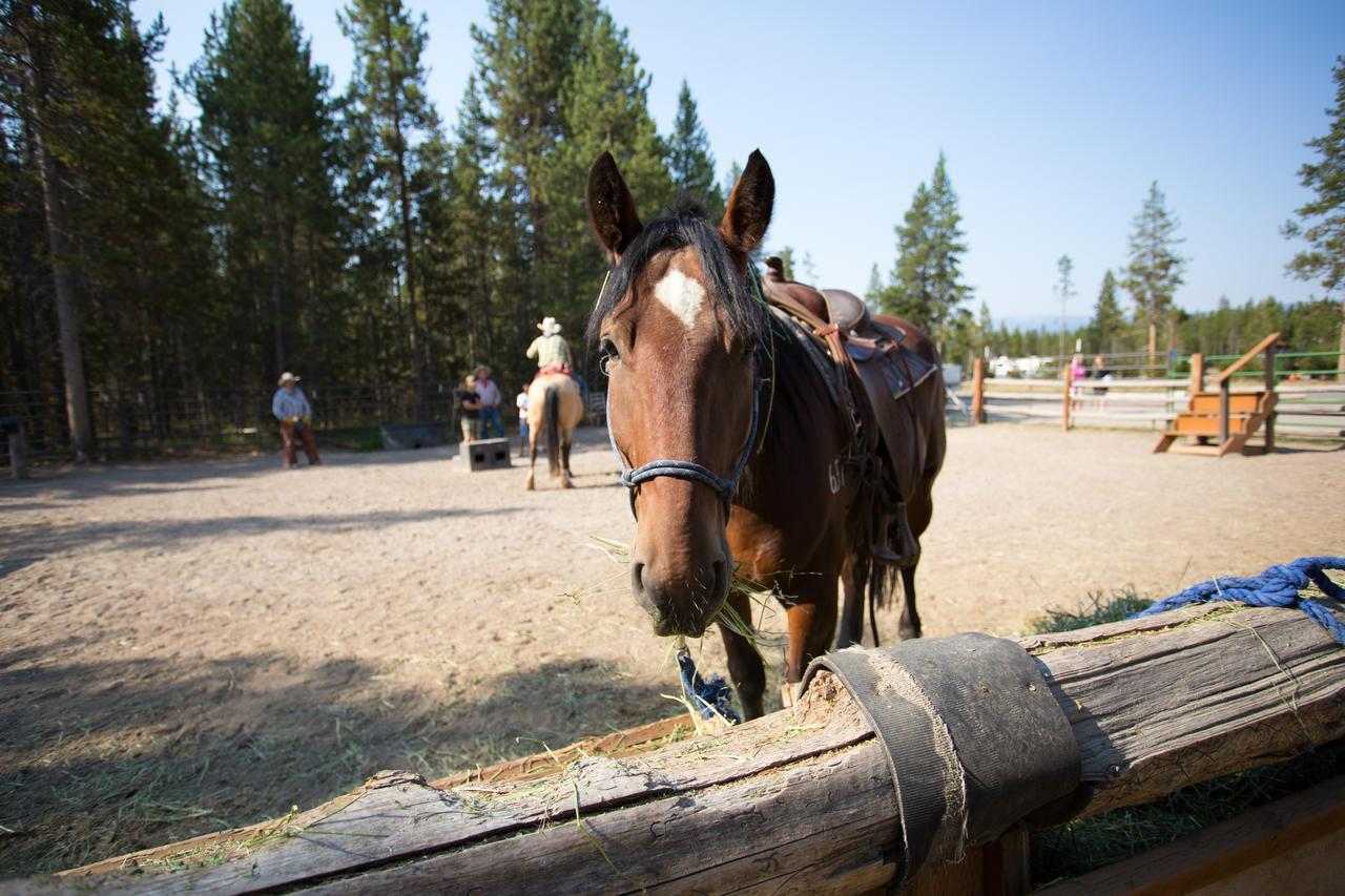 Headwaters Lodge & Cabins At Flagg Ranch Moran Exterior foto